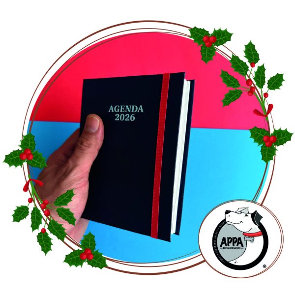 Agenda diaria 2026 de bolsillo en tapa dura con Keratol - Image 6